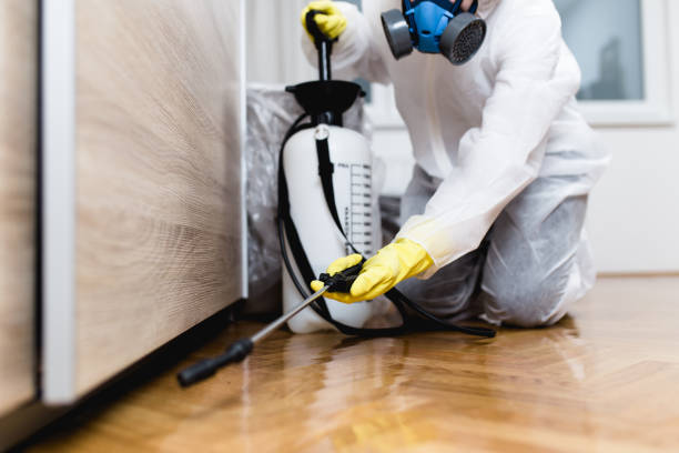 Best Exterminator Services  in Central, LA