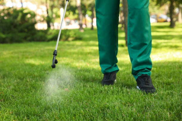 Best Emergency Pest Control  in Central, LA