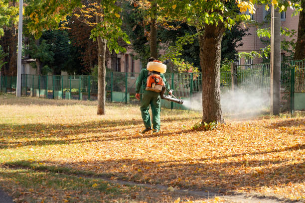  Central, LA Pest Control Pros