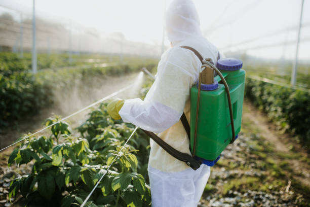 Best Affordable Pest Control Services  in Central, LA